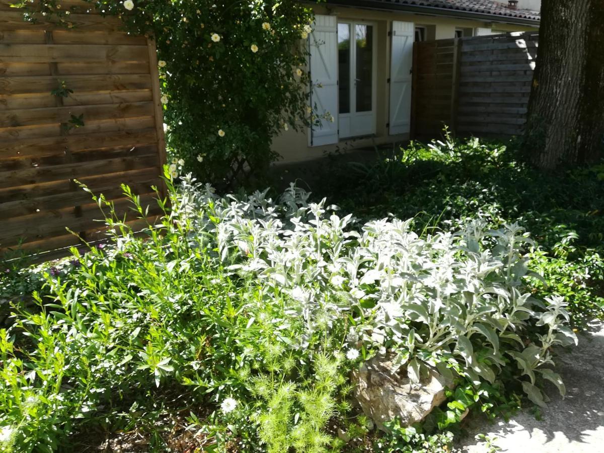 Chez Karine Et Julien Lägenhet Cahors Exteriör bild